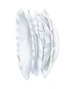Chicco Borstcompressen Anti-bacterieel 60st