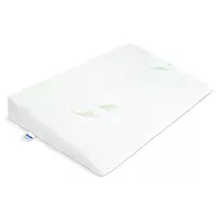 Luxe Aloe Vera wigkussen – 38×60 cm