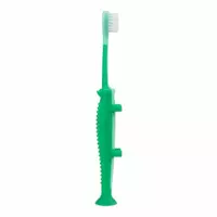 Krokodillentandenborstel Groen
