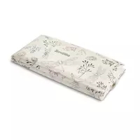 Vuurvlieg Reismat Botanisch Groen