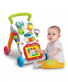 Interactieve Loopwagen - Kleurrijk Baby Speelgoed