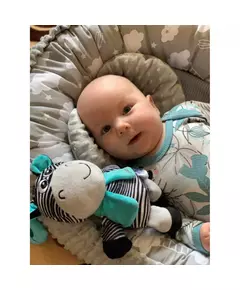 Zebra knuffel met bijtspeeltje en clip - Educatief