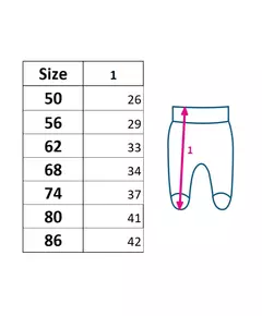 Babybroekje - Maat 74 (6-9 maanden) - Beertjes patroon