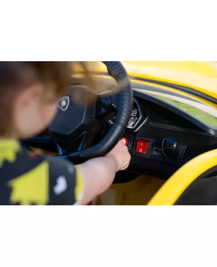 Zwart Lamborghini Accuvoertuig Speeltje