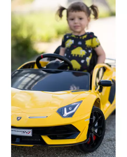 Zwart Lamborghini Accuvoertuig Speeltje