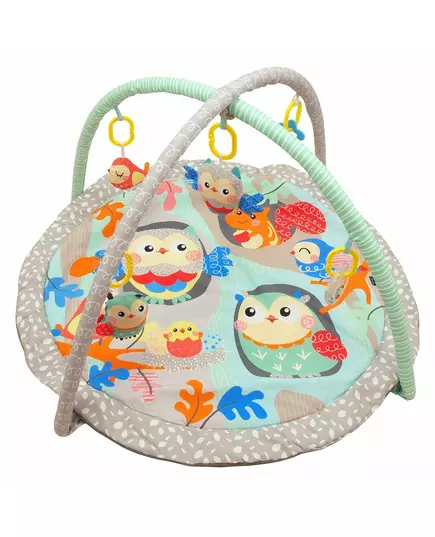 Uilen Speelkleed - Zacht & Kleurrijk - Actieve Babygym