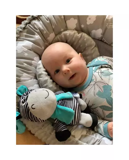 Zebra knuffel met bijtspeeltje en clip - Educatief