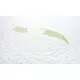 Memory aloe vera matras 120 x 60 (12cm)
