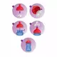 Grepenbeker Roze 18 Plus