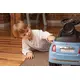 Fiat 500 Roze Loopauto
