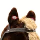 Schommelpaard Pluchen Bruin met Sterren - Houten Basis