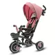 5-in-1 RELAX Driewieler Roze – Verstelbaar, Duwstang en 360° Draaiend Zitje