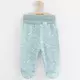 Babybroek - Dino - Mint - Maat 74 (6-9 maanden) - Met voetjes